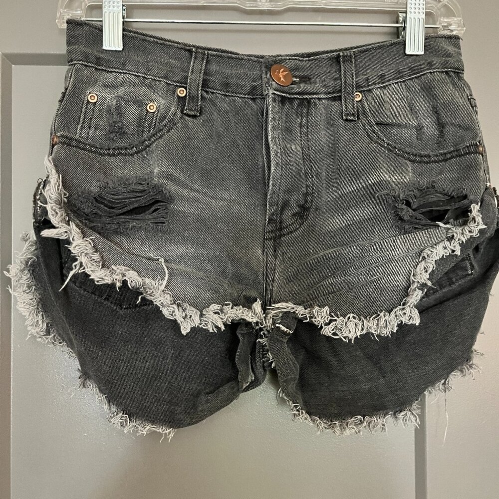 One X OneTeaspoon Bandits Low Waist Distressed Denim Short